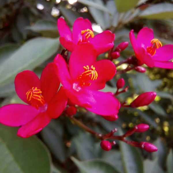 Wholesale&Retail store 